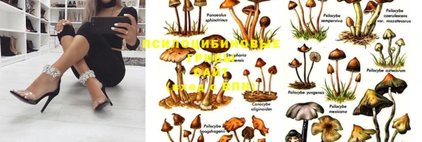 шишки Липки