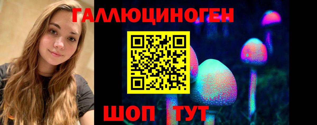Псилоцибиновые грибы Cubensis  Вход с VPN  Кызыл  Псилоцибиновые грибы GOLDEN TEACHER 